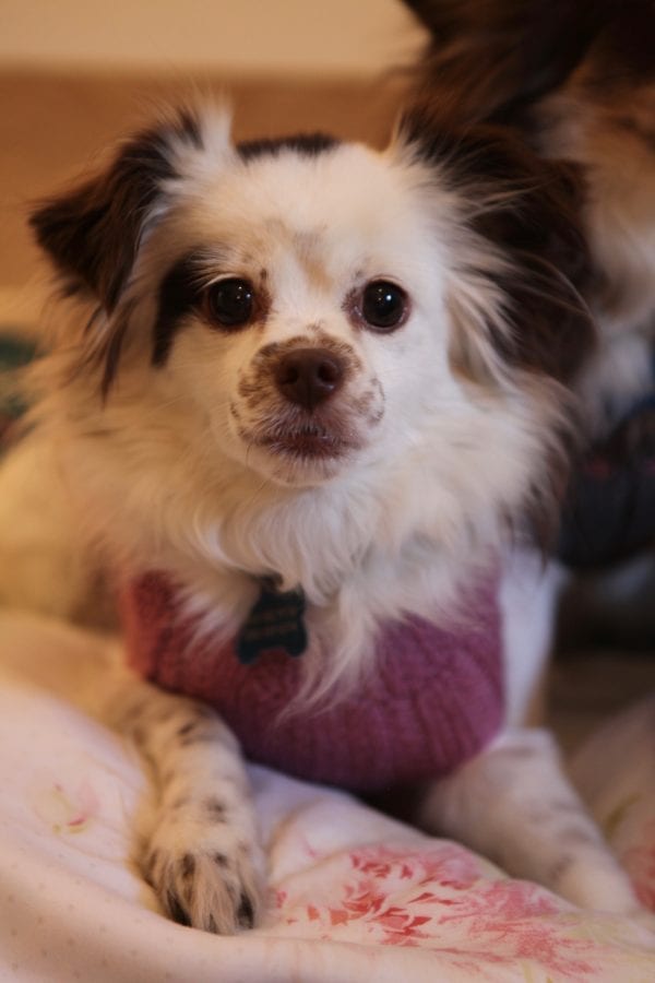 Pink cable knit luxury wool blend turtle neck sweater - Image 4