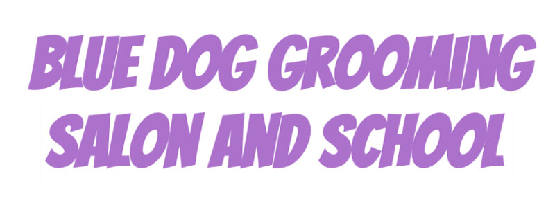 blue-dog-grooming