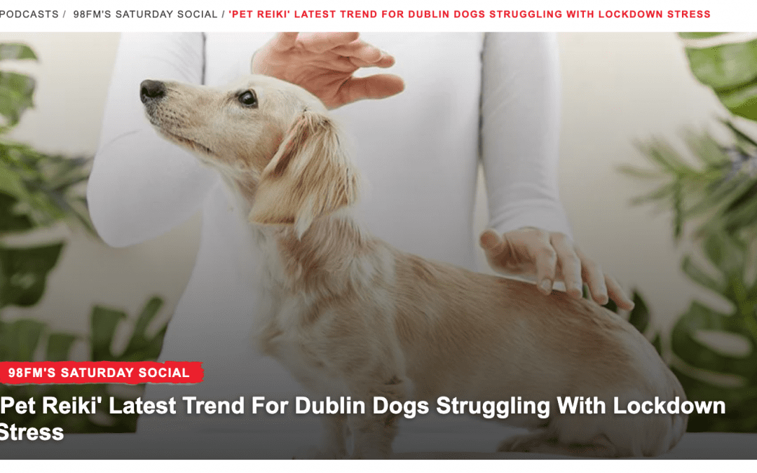 98FM Saturday Social: ‘Pet Reiki’ Latest Trend For Dublin Dogs Struggling With Lockdown Stress